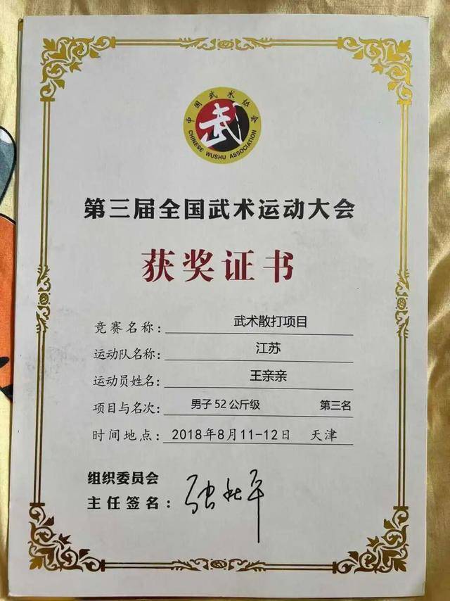 全国武术散打季军称遭多名运动员群殴霸凌，患上重度抑郁