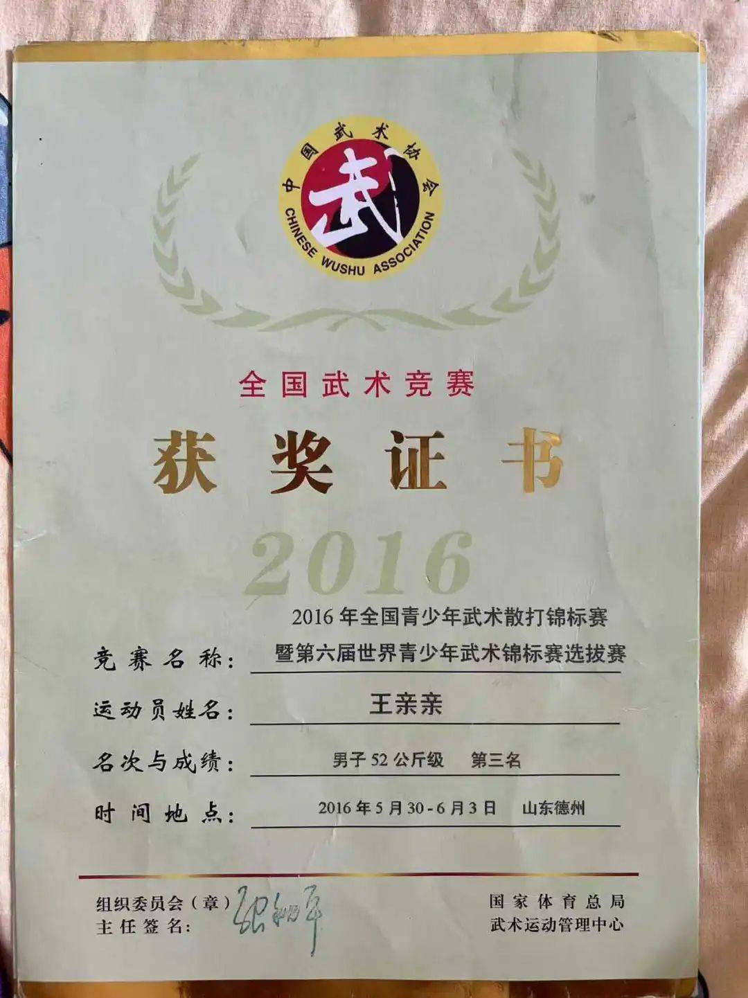 全国武术散打季军称遭多名运动员群殴霸凌，患上重度抑郁
