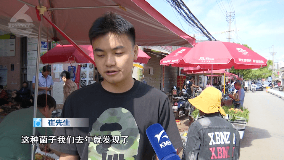 云南现80公斤巨无霸“菌王” 最终卖出1600元