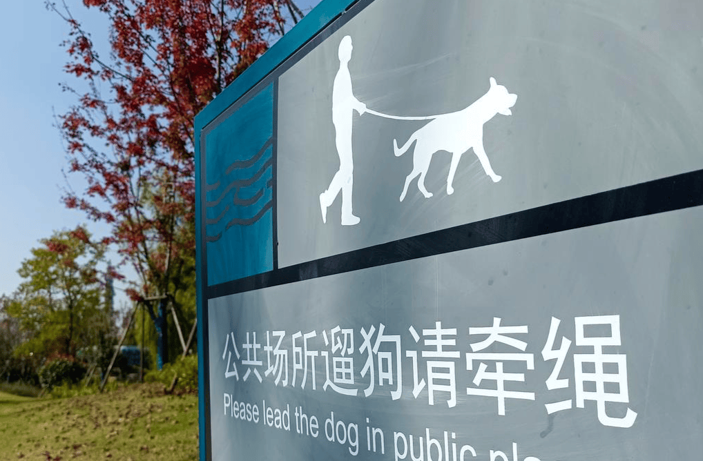 小区里金毛犬未拴绳打架追逐，八旬老人受惊摔倒致伤残十级 狗主人被判赔5万余元