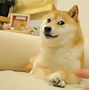 狗币(狗币涨了多少倍)
