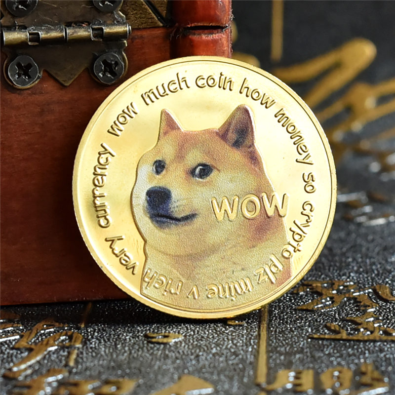 狗狗bi(狗狗鼻子干怎么回事)