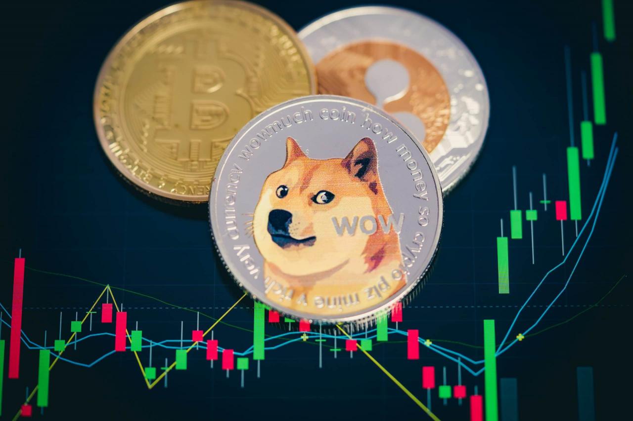 doge币钱包价值(doge币用什么钱包)