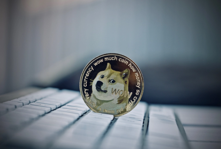 doge币钱包价值(doge币用什么钱包)
