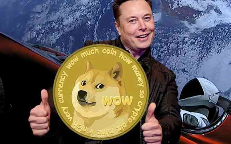 如何看待doge币(doge币现在怎么样了)