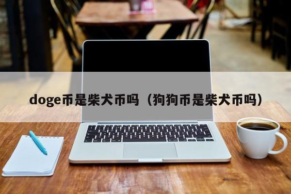 doge币有实用价值吗(doge币值得长期持有吗)