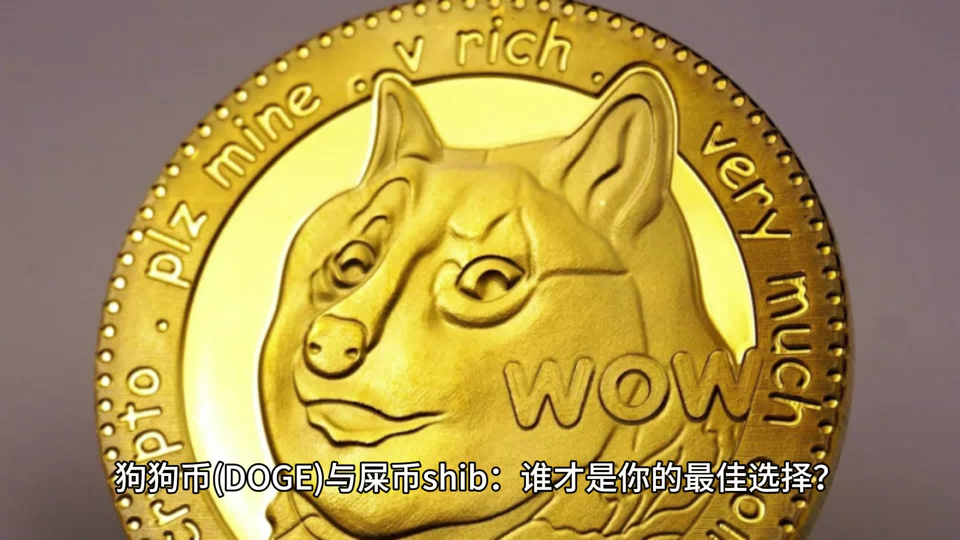 doge币存哪儿(doge币有投资价值吗)