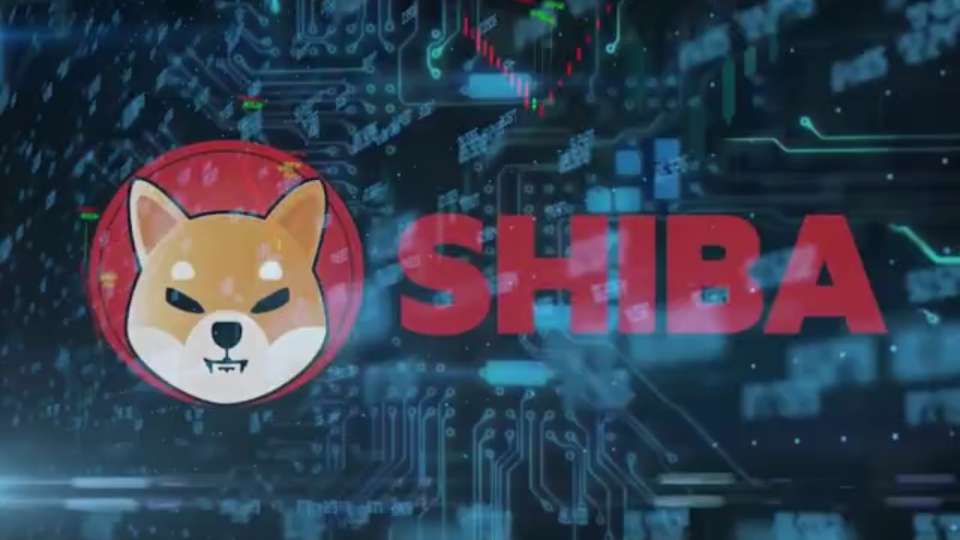 doge币和shiba币(shib和doge币的区别)