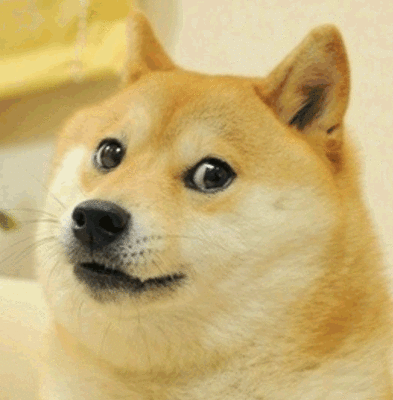 挖doge币(挖doge币违法吗)