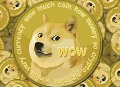 doge币和屎币(狗狗币和屎币哪个值得投资)