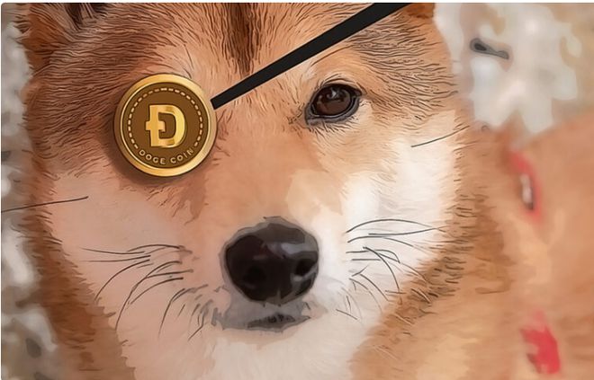 doge币怎么买升值(doge币有升值空间吗)