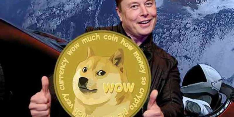 doge充币(doge币怎么玩)