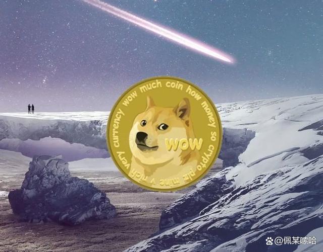 doge充币(doge币怎么玩)