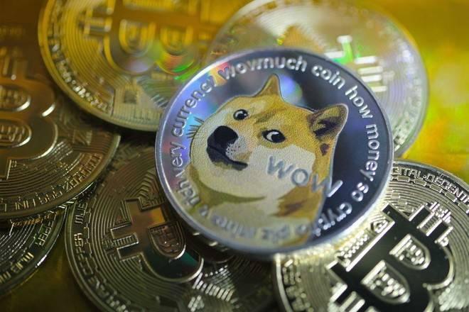 关于doge币历史最高价是多少教程的信息