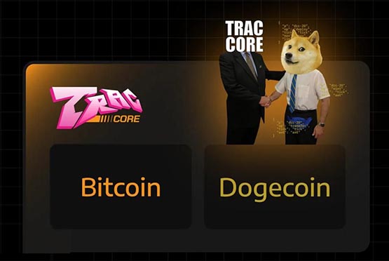 doge币历史最高价是多少教程的简单介绍