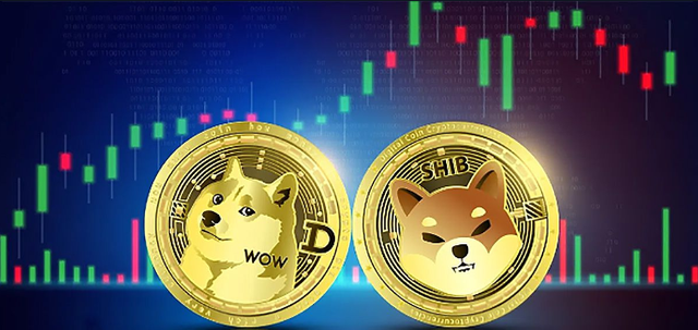 doge币实时行情多少钱(doge币2021年能涨到多少)