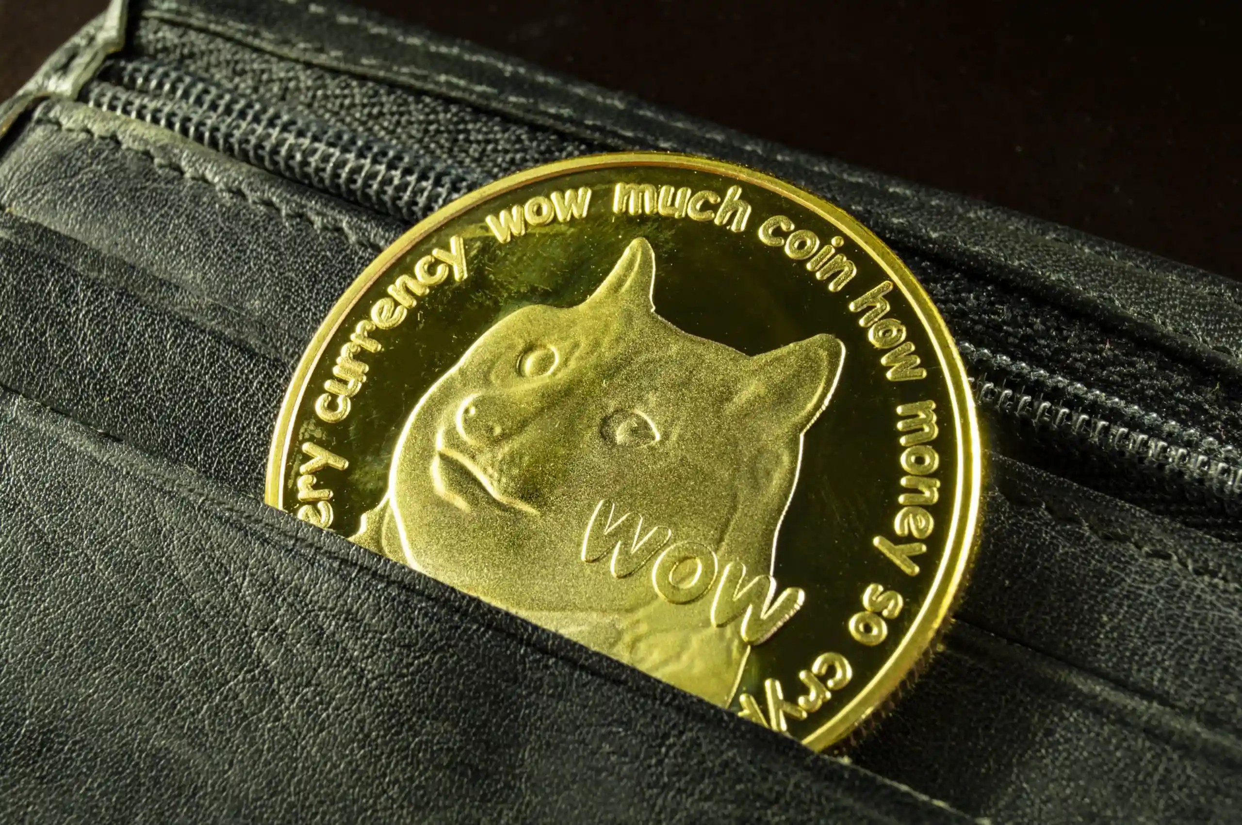 包含doge币提币到哪个钱包的词条