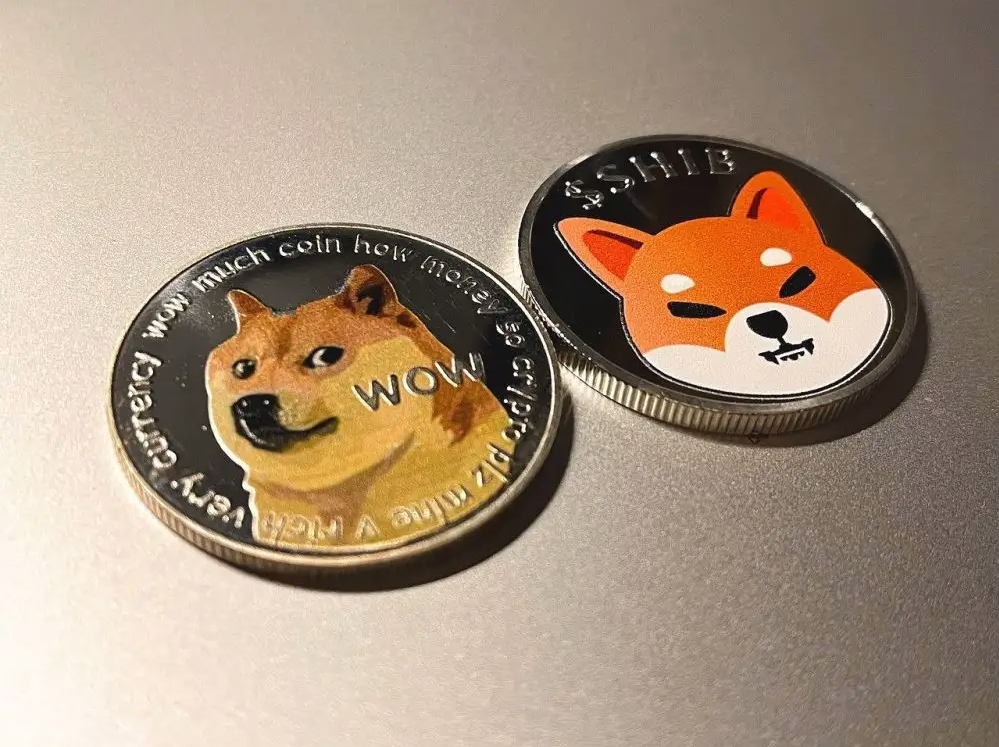 doge币未来价格收益(doge币2021年能涨到多少)