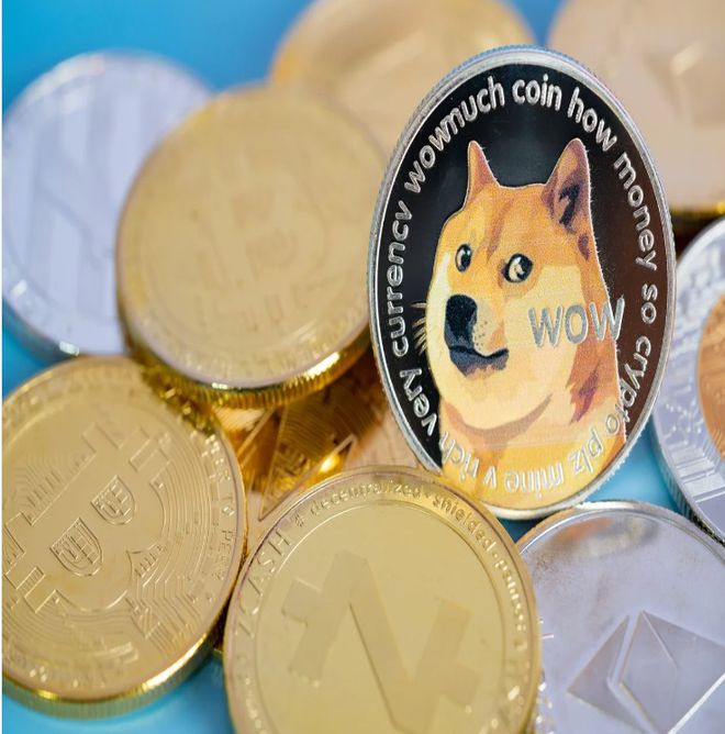 包含doge币未来价格什么意思的词条