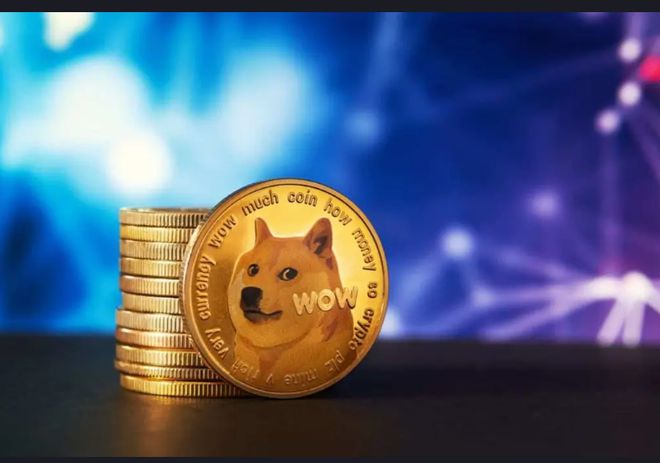 doge币有未来吗(doge币还会暴涨吗)