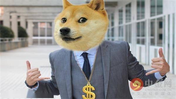 doge币数量无限吗(doge币2021年能涨到多少)