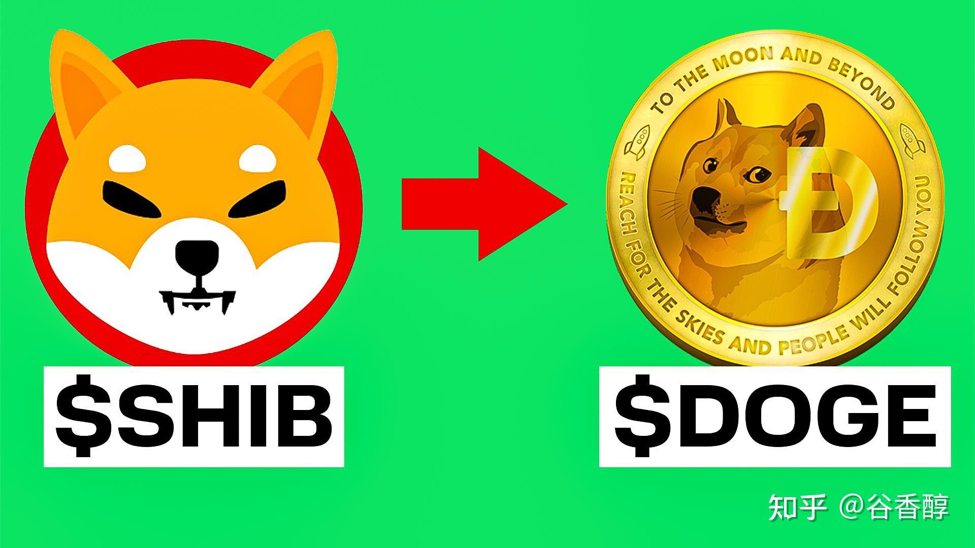 doge币有用吗(doge币有潜力吗)