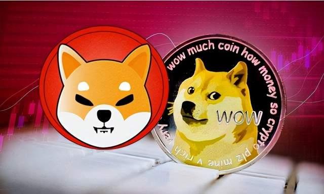 DOGE币和SHIB哪个更好的简单介绍