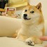 doge币发行价行情(doge币最新价格行情)