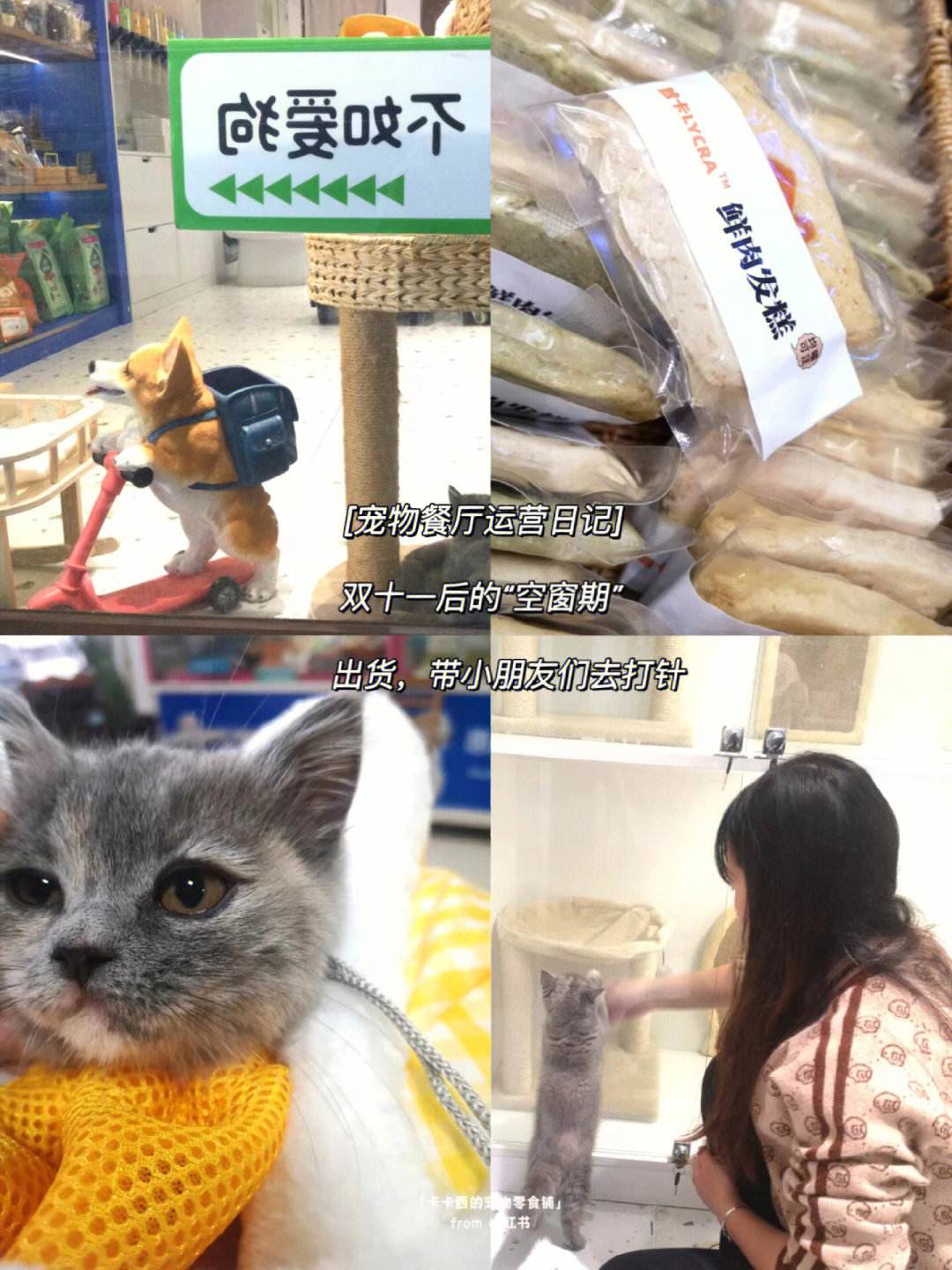 包含doge商家接受哪些币的词条