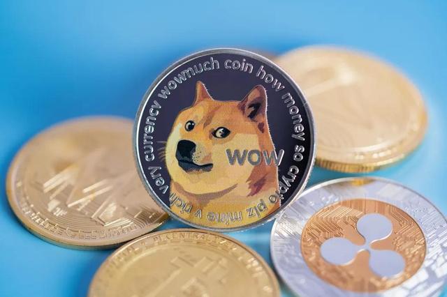 doge币能涨到多少行情(doge币2021年能涨到多少)