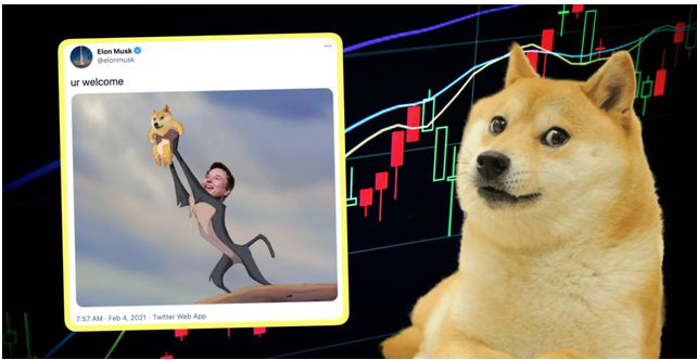 狗狗币doge(狗狗币doge1)