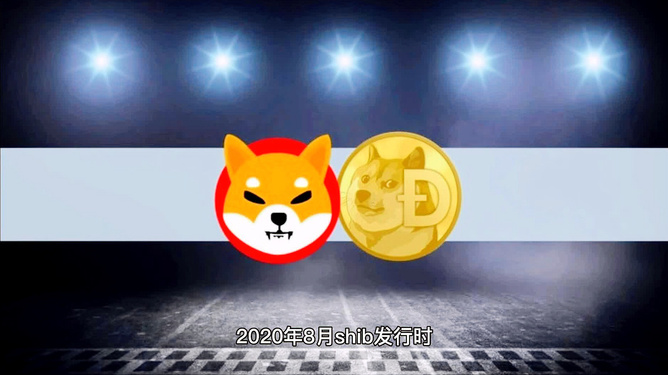 doge币最高什么价格操作(doge币2021年能涨到多少)