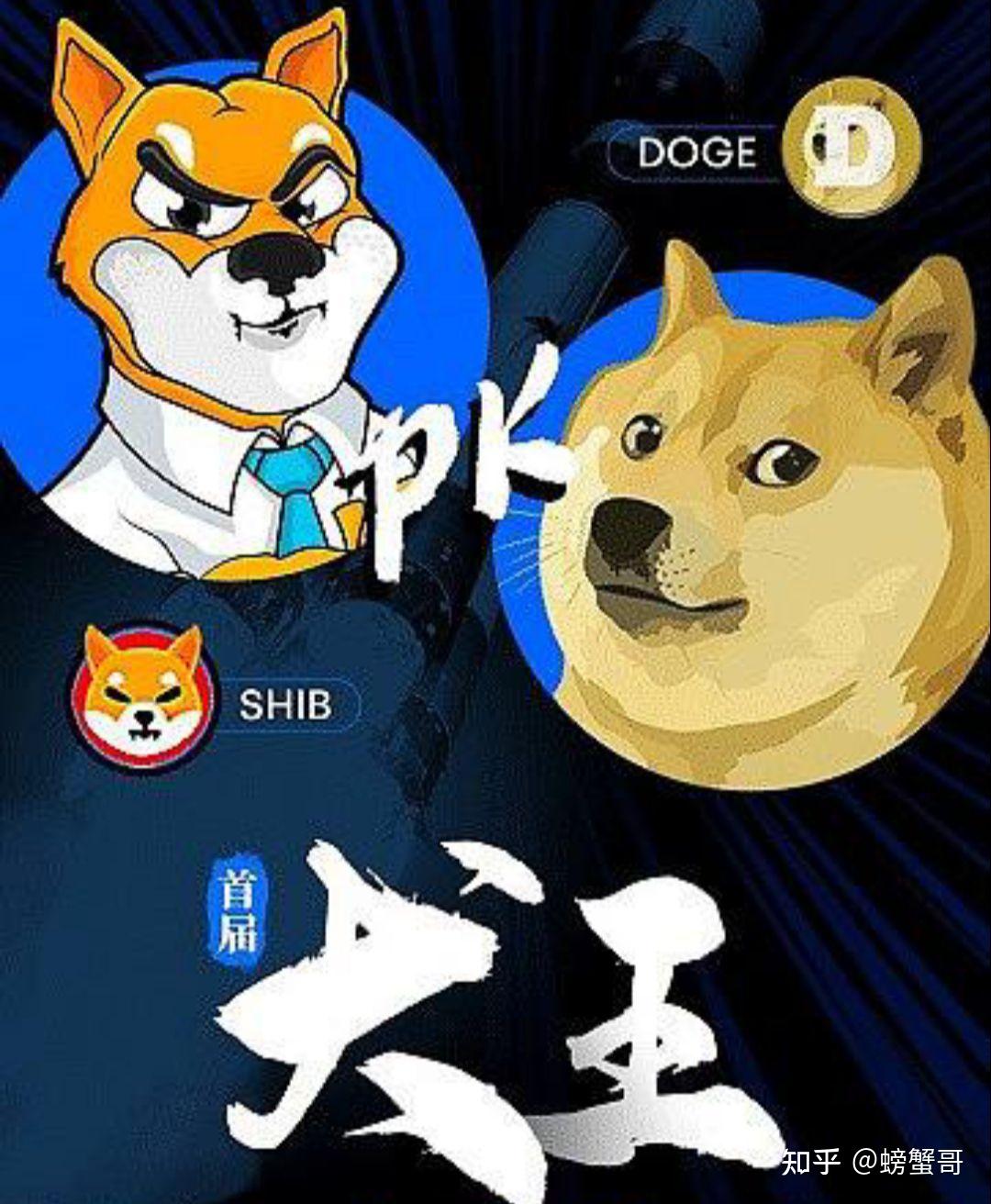 doge币有智能合约吗(doge币合约地址是多少)