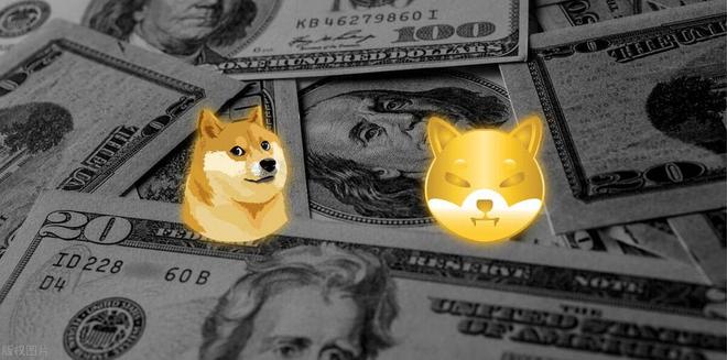 doge币能否涨到50元吗的简单介绍
