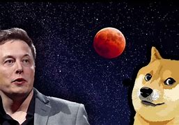 doge币为啥不涨(doge牛市能到多少)