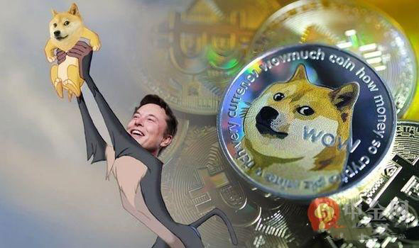 doge币最新消息前景(doge币价格今日行情非小号)