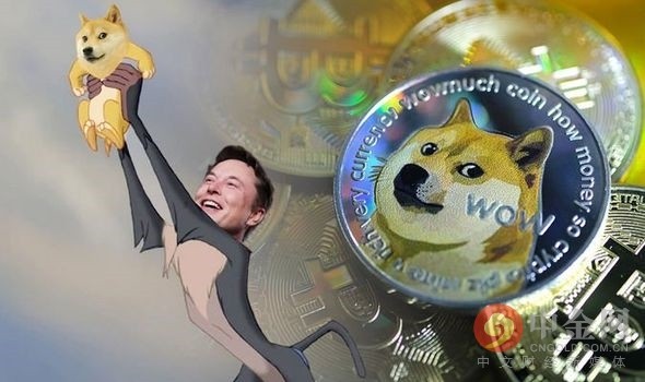 狗狗币doge中国(dogecoin狗狗币)