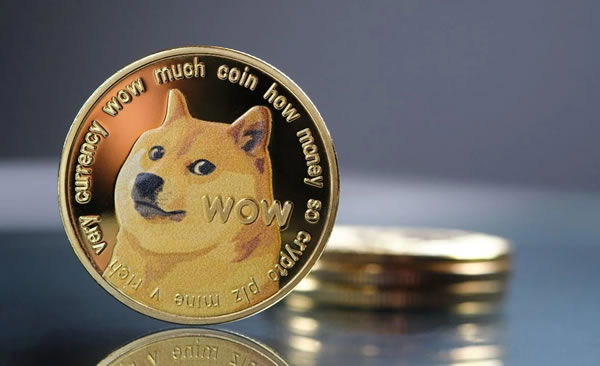 doge币一天成交量(doge币2021年能涨到多少)