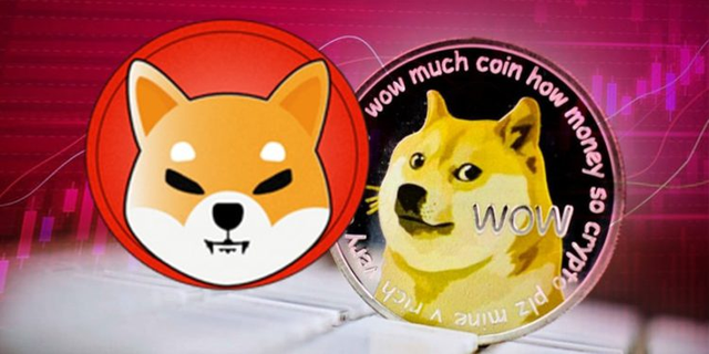 doge狗王币的简单介绍