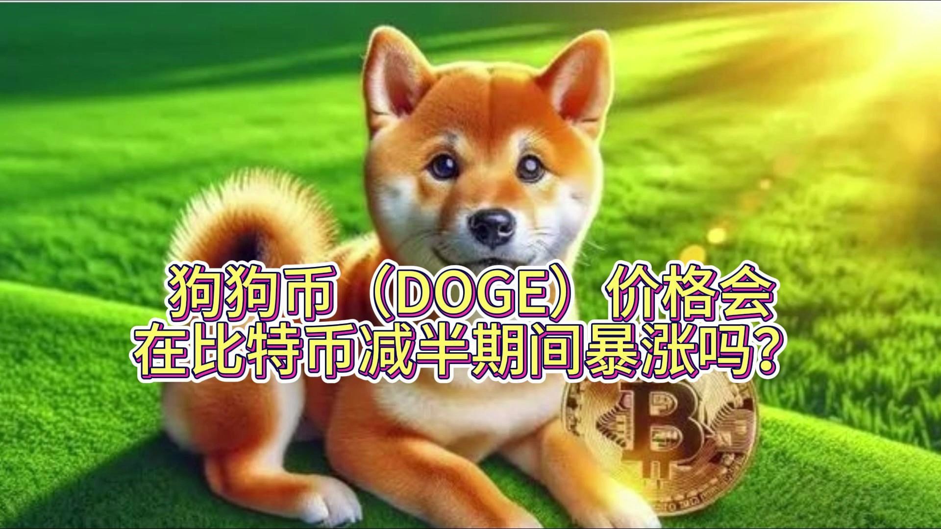 关于doge币提现为何迟迟不到账的信息