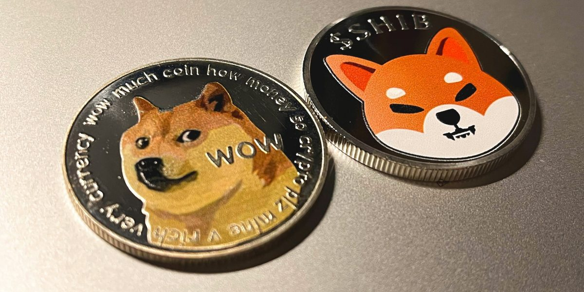 包含doge币能不能超过狗狗的价格的词条