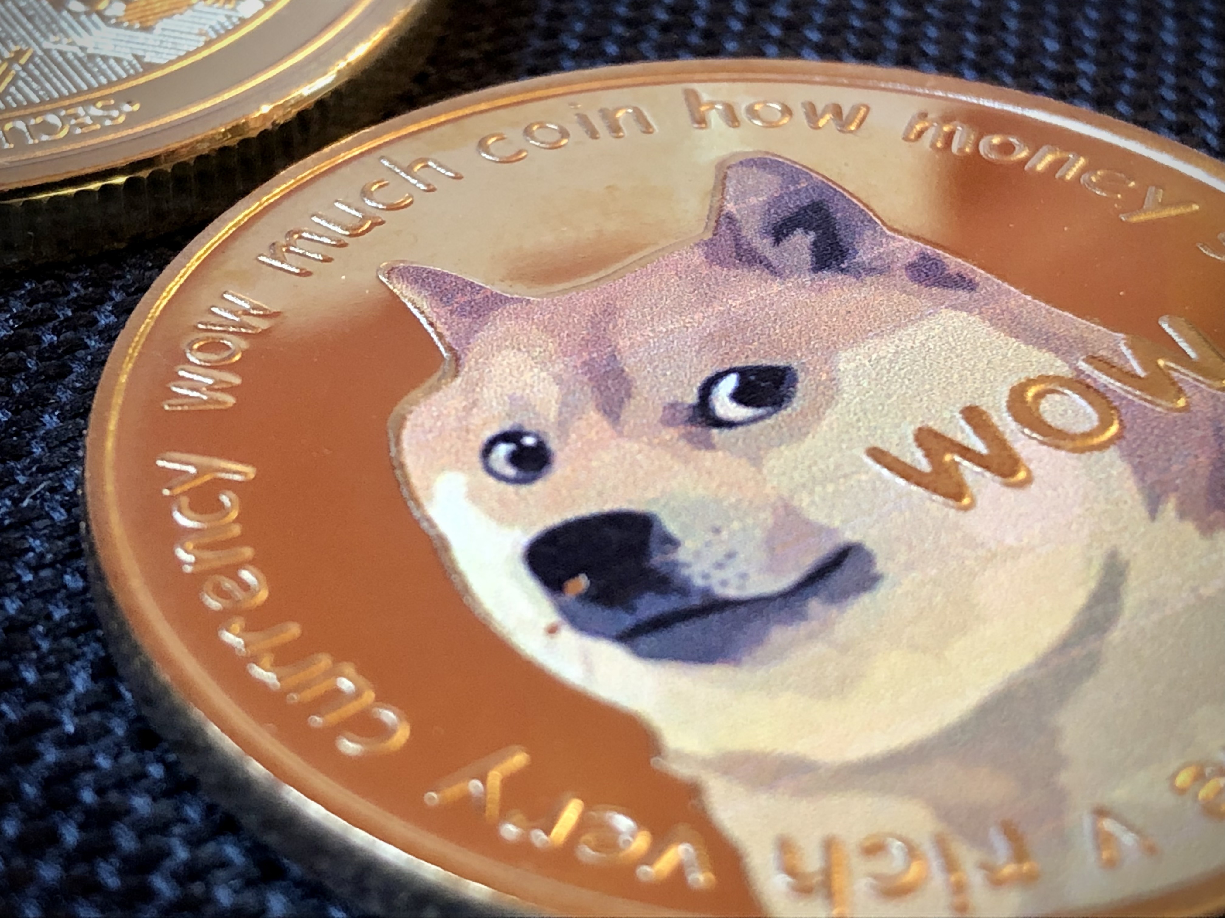 DOGE狗狗币骗局(dogecoin狗狗币)
