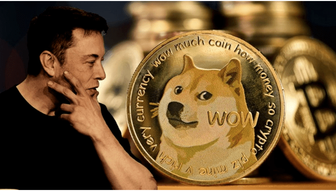 doge币官方消息(doge币最新价格行情)