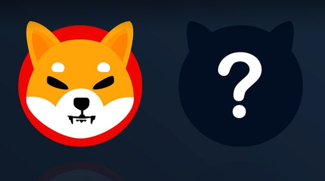 doge币怎么运作(doge币有投资价值吗)