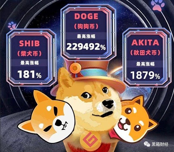 doge币还能持有吗(dog币值得长期持有吗)