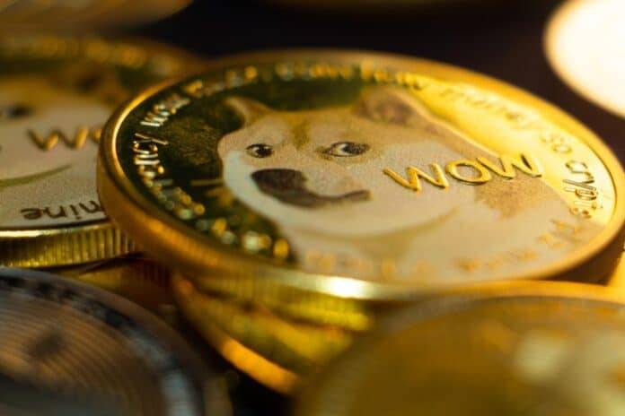 最新发行doge币(doggy币发行总量)