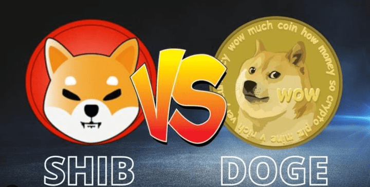 doge狗狗币(doge狗狗币前景)