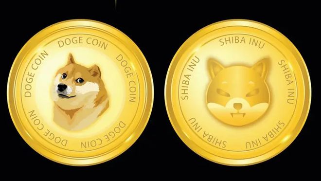 doge后又是什么币(dog是什么币种最新消息)