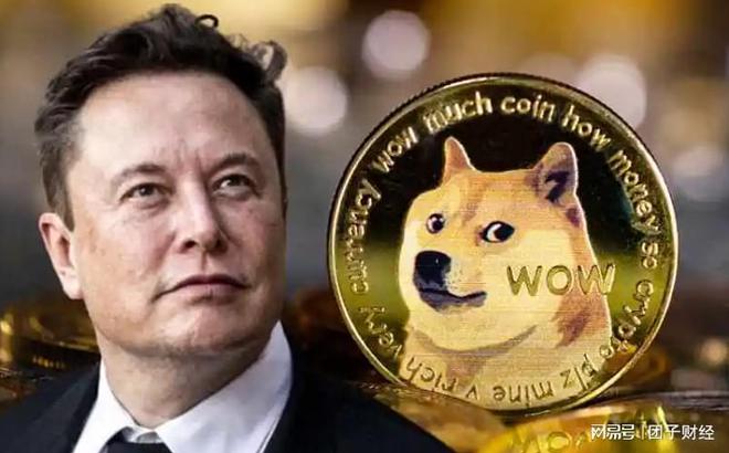 DOGE币与马斯克(马斯克 狗狗币 暴跌)
