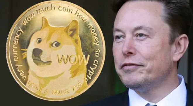 doge狗狗币最近行情价值(dogecoin狗狗币今天价格)